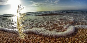 Καιρός για παραλία σήμερα (Φωτογραφία: EUROKINISSI/ΓΙΩΡΓΟΣ ΚΟΝΤΑΡΙΝΗΣ)