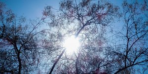 Βελτιώνεται ο καιρός σήμερα/ Φωτογραφία: EUROKINISSI- ΓΙΩΡΓΟΣ ΚΟΝΤΑΡΙΝΗΣ