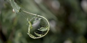 Φωτογραφία: EUROKINISSI/ ΘΑΝΑΣΗΣ ΚΑΛΛΙΑΡΑΣ