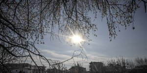 Ανθισμένες αμυγδαλιές στα Τρίκαλα (Φωτογραφία: EUROKINISSI/ΘΑΝΑΣΗΣ ΚΑΛΛΙΑΡΑΣ)