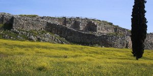 Φωτογραφία: EUROKINISSI/ ΒΑΣΙΛΗΣ ΠΑΠΑΔΟΠΟΥΛΟΣ