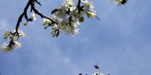 Φωτογραφία: EUROKINISSI/ΘΑΝΑΣΗΣ ΚΑΛΛΙΑΡΑΣ