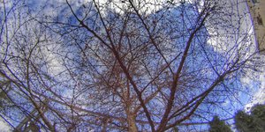 (EUROKINISSI/ ΓΙΩΡΓΟΣ ΚΟΝΤΑΡΙΝΗΣ)