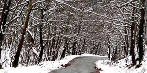 (EUROKINISSI/ ΘΑΝΑΣΗΣ ΚΑΛΛΙΑΡΑΣ)