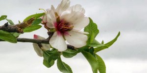 Φωτογραφία: EUROKINISSI/ΓΙΩΡΓΟΣ ΚΟΝΤΑΡΙΝΗΣ