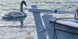 Φωτογραφία: EUROKINISSI/ΛΕΥΤΕΡΗΣ ΠΟΥΛΙΟΣ