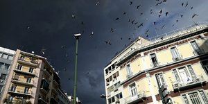 Φωτογραφία: EUROKINISSI/ΣΤΕΛΙΟΣ ΜΙΣΙΝΑΣ