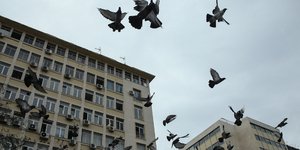 Ανεβαίνει η θερμοκρασία την Πέμπτη/ Φωτογραφία: SOOC/ GEORGE VITSARAS