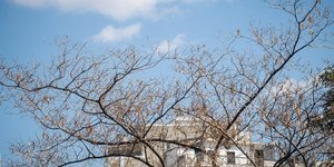 Πτώση της θερμοκρασίας σήμερα/ Φωτογραφία: EUROKINISSI- ΓΙΩΡΓΟΣ ΚΟΝΤΑΡΙΝΗΣ