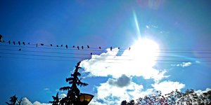 Ανεβαίνει η θερμοκρασία σήμερα (Φωτογραφία: EUROKINISSI/ ΓΙΩΡΓΟΣ ΚΟΝΤΑΡΙΝΗΣ)