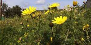 Φωτογραφία: EUROKINISSI/ ΒΑΣΙΛΗΣ ΠΑΠΑΔΟΠΟΥΛΟΣ