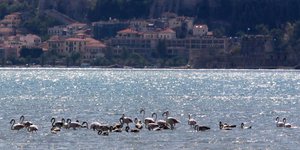 Φωτογραφία: EUROKINISSI/ ΒΑΣΙΛΗΣ ΠΑΠΑΔΟΠΟΥΛΟΣ