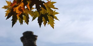 (EUROKINISSI/ ΘΑΝΑΣΗΣ ΚΑΛΛΙΑΡΑΣ)