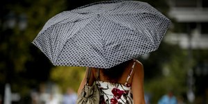 Φωτογραφία: EUROKINISSI/ ΣΤΕΛΙΟΣ ΜΙΣΙΝΑΣ