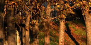 ΦΩΤΟΓΡΑΦΙΑ: EUROKINISSI