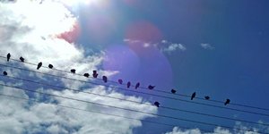 Φωτογραφία: ΚΟΝΤΑΡΙΝΗΣ ΓΙΩΡΓΟΣ EUROKINISSI