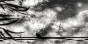 Φωτογραφία: Eurokinissi