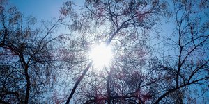 Φωτογραφία Eurokinissi