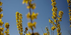 Φωτογραφία: SOOC