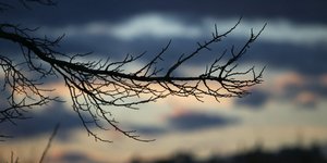 Φωτογραφία: intimenews.gr