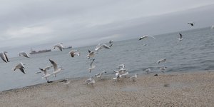 Φωτογραφία: SOOC