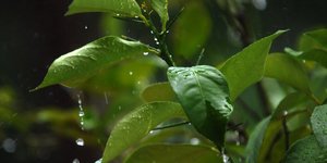 ΦΩΤΟΓΡΑΦΙΑ: EUROKINISSI