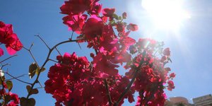 ΦΩΤΟΓΡΑΦΙΑ: EUROKINISSI