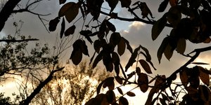 Φωτογραφία: EUROKINISSI