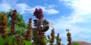 ΦΩΤΟΓΡΑΦΙΑ: EUROKINISSI/ΘΑΝΑΣΗΣ ΚΑΛΛΙΑΡΑΣ