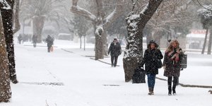 ΦΩΤΟΓΡΑΦΙΑ: ΜΟΤΙΟΝΤΕΑΜ/ΤΡΥΨΑΝΗ ΦΑΝΗ