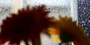 Φωτογραφία: Eurokinissi