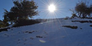 Χιόνια στην Καρυά Αργολίδας (Φωτογραφία: Eurokinissi)