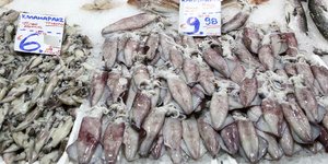 καλαμάρια/Φωτογραφία: Eurokinissi
