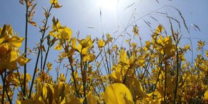 ΦΩΤΟΓΡΑΦΙΑ: EUROKINISSI-ΠΑΠΑΔΟΠΟΥΛΟΣ ΒΑΣΙΛΗΣ