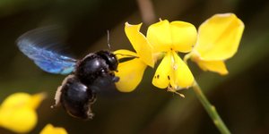 ΦΩΤΟΓΡΑΦΙΑ: Eurokinissi