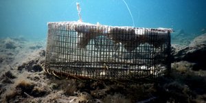 ΦΩΤΟΓΡΑΦΙΑ: EUROKINISSI/ΣΤΕΛΙΟΣ ΜΙΣΙΝΑΣ