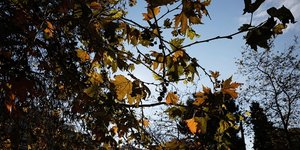 Konstantinos Tsakalidis / SOOC