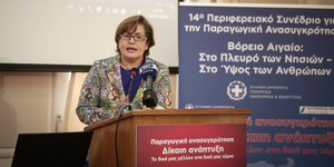Η περιφερειάρχης Β. Αιγαίου (Φωτογραφία: EUROKINISSI/ΗΛΙΑΣ ΜΑΡΚΟΥ)