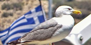 Φωτογραφία: Εurokinissi