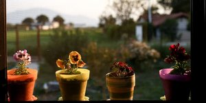 ΦΩΤΟΓΡΑΦΙΑ: INTIME NEWS