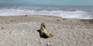 Φωτογραφία: Nikos Libertas / SOOC