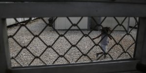 Φωτογραφία: Nikos Libertas / SOOC    