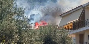 ΦΩΤΟΓΡΑΦΙΑ: lamiareport.gr
