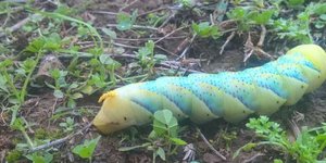  Πηγή: tempo24.news