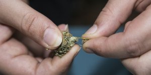 Φωτογραφία: Nikos Libertas / SOOC