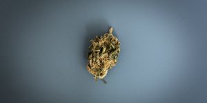 Φωτογραφία: Nikos Libertas / SOOC