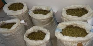 Σέρρες: Εξαρθρώθηκε σπείρα διακίνησης ναρκωτικών -4 συλλήψεις [εικόνες]/Φωτογραφία: elas