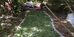 Φωτογραφία: astynomia.gr