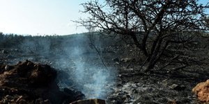 Κρανίου τόπος η Ανατολική Αττική/ Φωτογραφία: Τατιάνα Μπόλαρη/ Eurokinissi