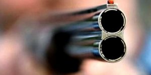 Πρόστιμο 30.000 ευρώ γιατί πυροβόλησε και σκότωσε αδέσποτο σκύλο